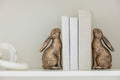 Bunny Book Ends