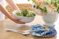 Cane Napkin Rings - Set of 4