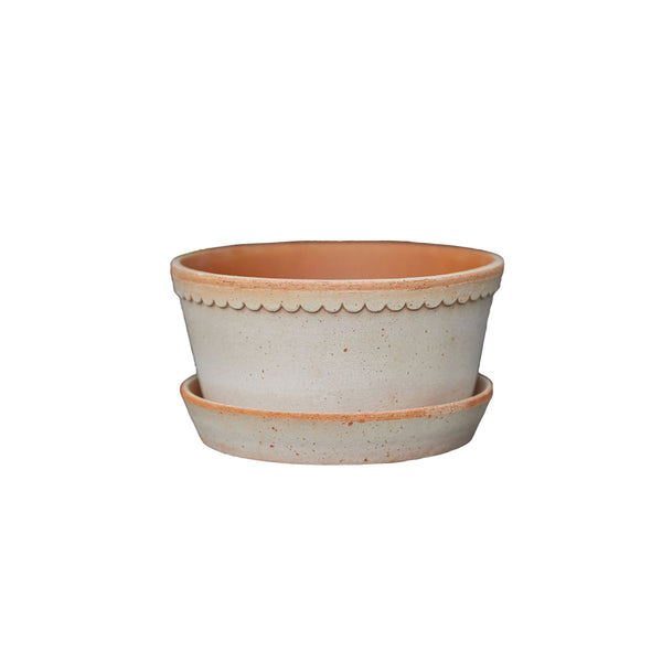 Terracotta Scalloped Edge Pot