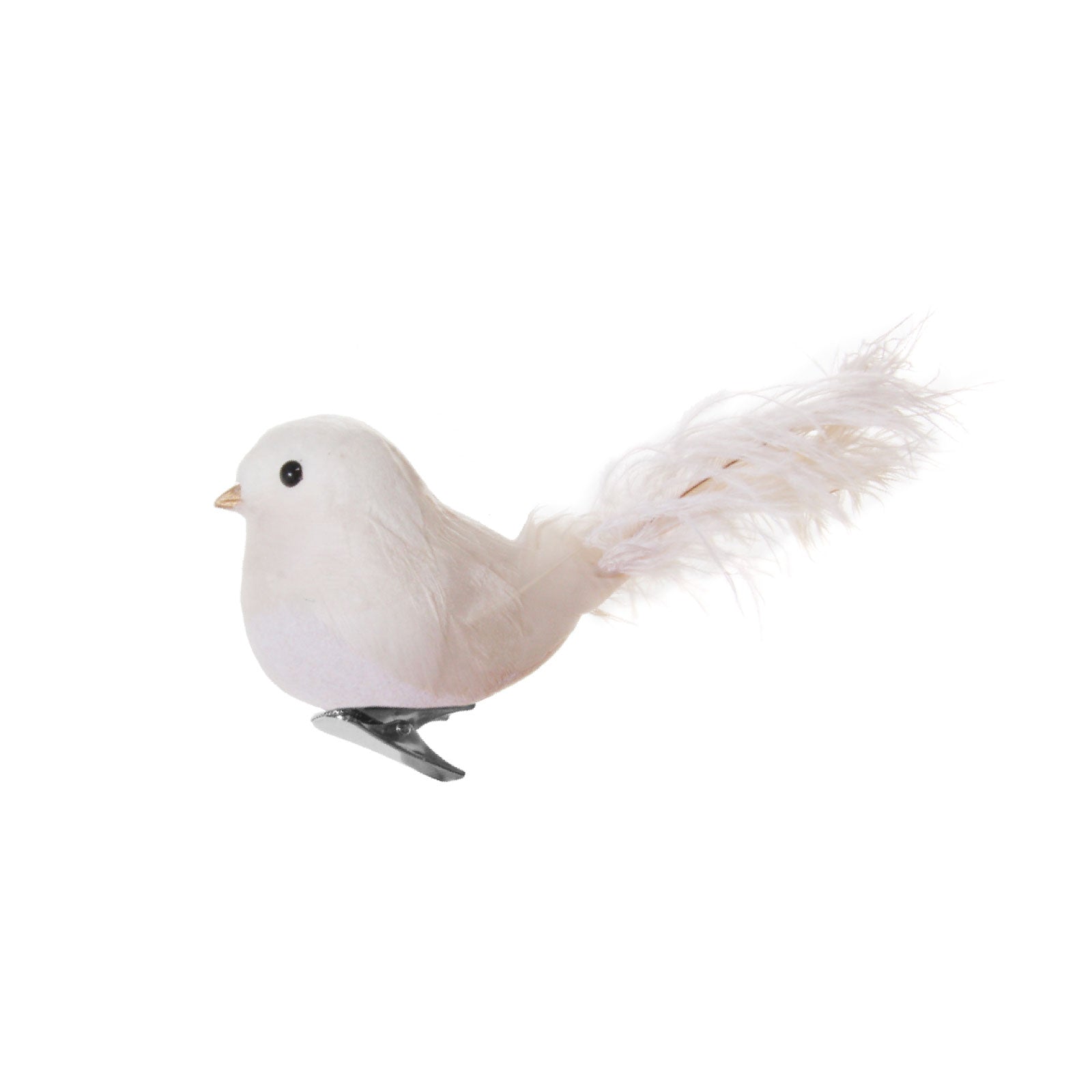 White Dove